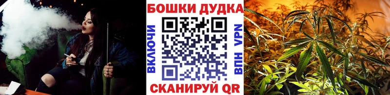 закладка  Луховицы  Бошки марихуана ГИДРОПОН 